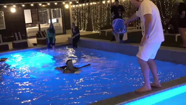 xQc almost drowns while sailing cardboard box