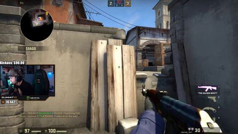 Summit has a large head