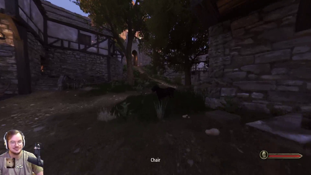 Streamer pets the dog