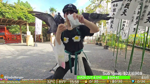 Japanese Bird Girl