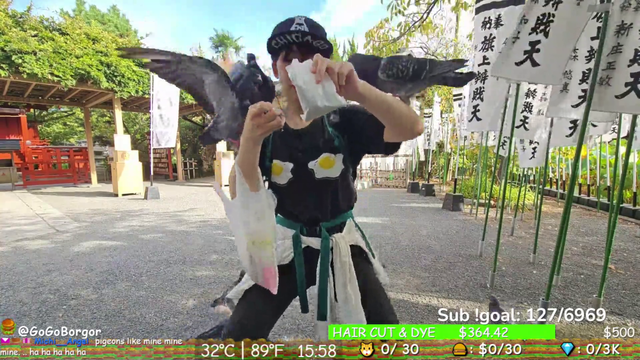 Japanese Bird Girl