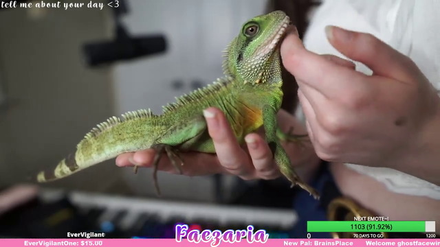 Lizard Massage