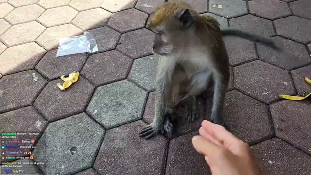 Jinny wants a handshake