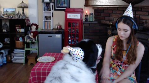 Dog Whisperer