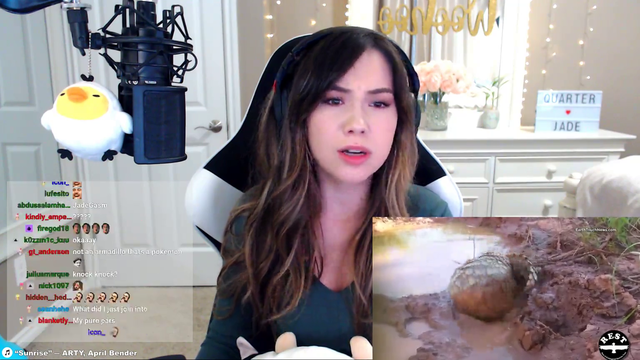 QuarterJade falls for the old knock sound bait video; then gets scared by her donation alert