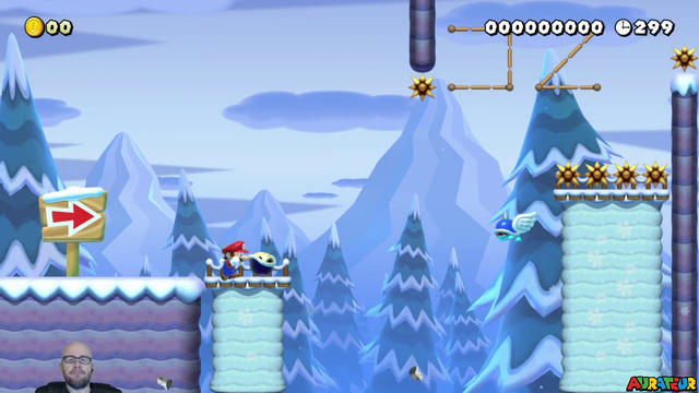 Aurateur clears a SMM2 level after 6 hours of attempts