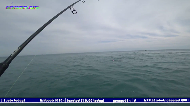 HammerHead Smells bait