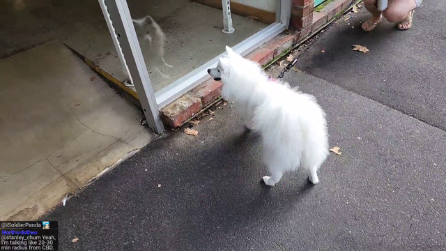 Awkward moment with dog owner