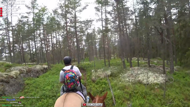 Vangard - Traversing the Hills of Norway w Vanguard and RIKKE!