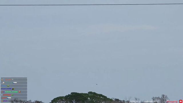 Jinny Watches Rocket launch