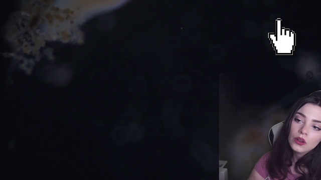 Microscope streamer witnesses a murder
