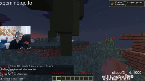 When you open a Minecraft Server of 500 to 11k viewers