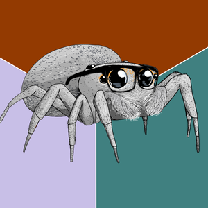 Spider_ID