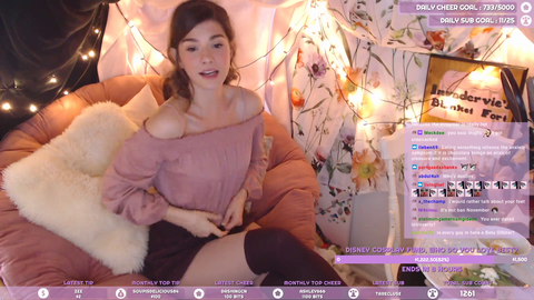 InvaderVie accidentally tells the truth about her audience
