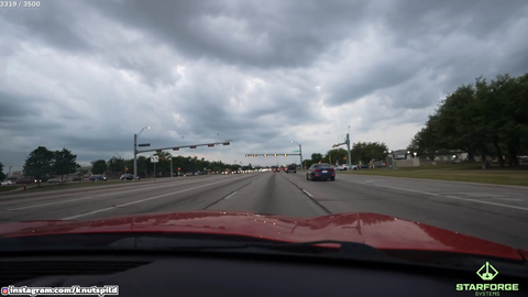 Knut spots Extra Emily on the road.