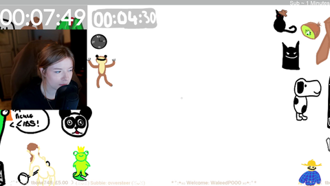 Streamer draws a "horse"