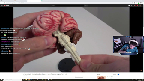 Destiny on Brain Damage