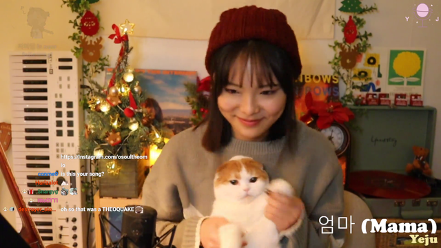 That's a great cat right there