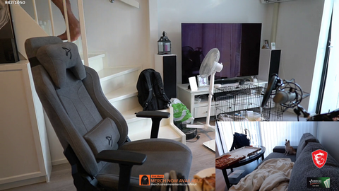 Knut’s dog Theo waits for him to leave the room and then steals his pizza