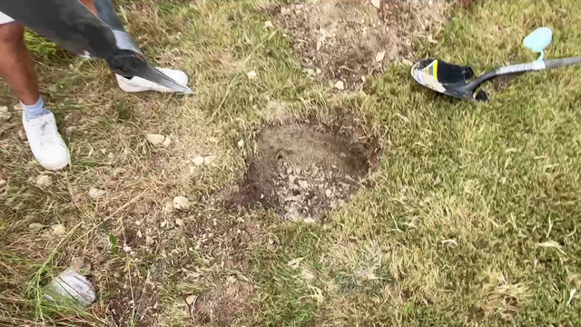 Erobb is a dwarf and he's digging a hole! Diggy diggy hole! Diggy diggy hole! He's digging a hole!