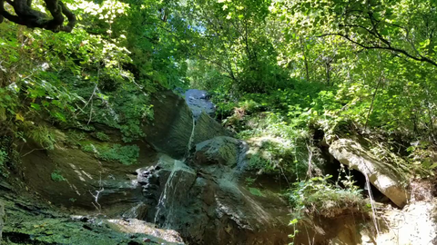This guy streams his backyard waterfall 24/7