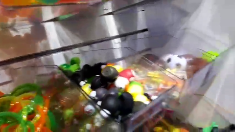Greek gets bullied by a dad at dave and buster's