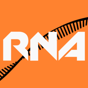 tvRNA