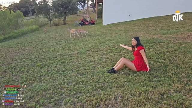 The deer don't like ExtraEmily