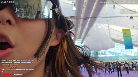 Emily's attempt at low profile