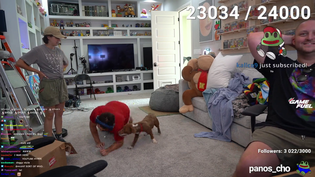 Miz gets fucked by a dog.