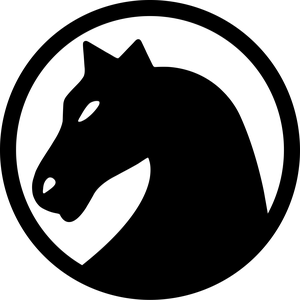 ChessNetwork