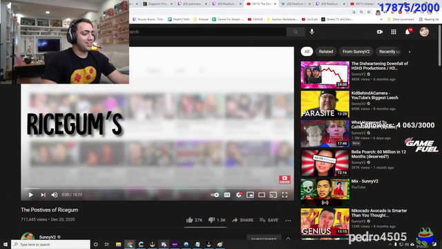 the positives of ricegum