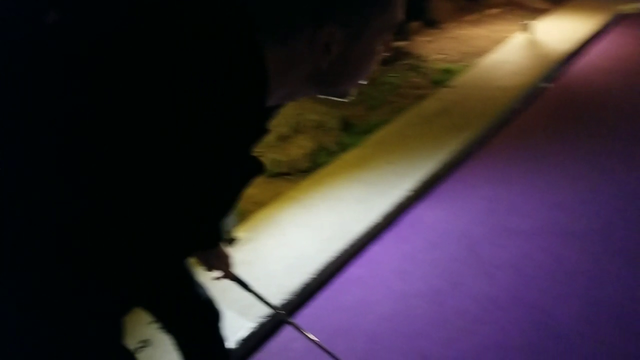 Tiger Woods confirmed Pog