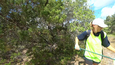 Malena And Nick Run From A Branch