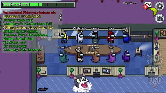 DumbDog properly putting toxic chatters in their place.