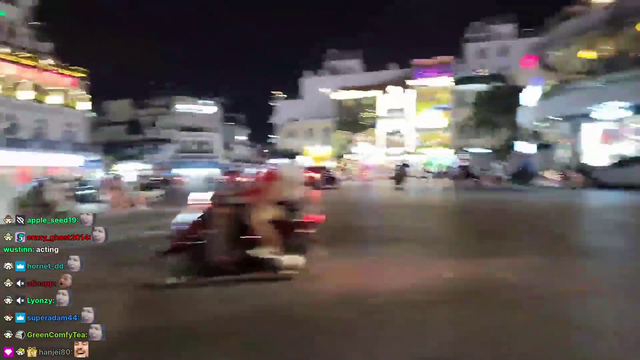 Hachu crosses a street in Vietnam