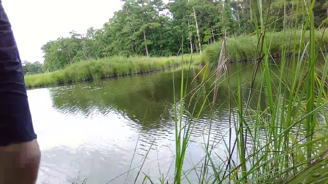 Impressive shirtless backflip into a lake