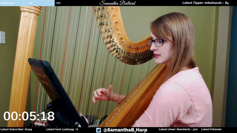 Octopath Traveler Played Live on Harp - Olberic, the Warrior