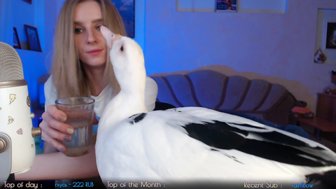 duck drinks water (ASMR)