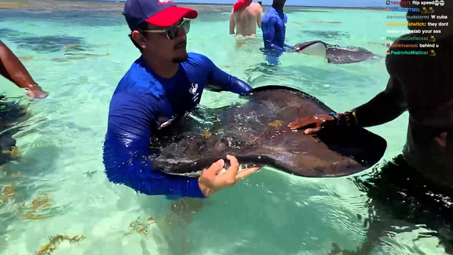 IShowSpeed kisses a stingray and grabs its barb on stream