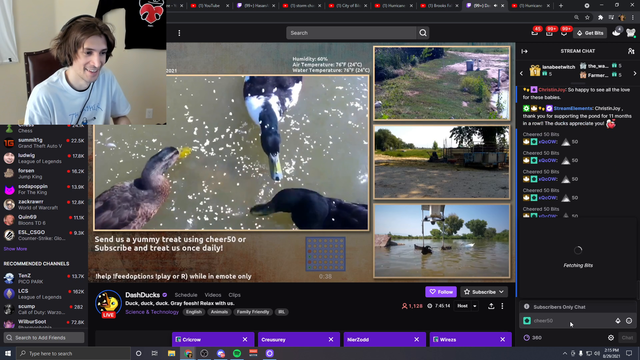 xQc overfeeds local pond sanctuary with bits spam