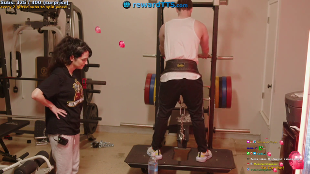 Jay protecting the goods
