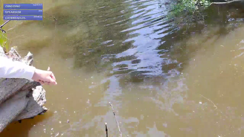 Alecludford catches a turtle and sets it free