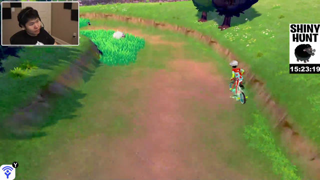Toast finally gets a shiny Wooloo