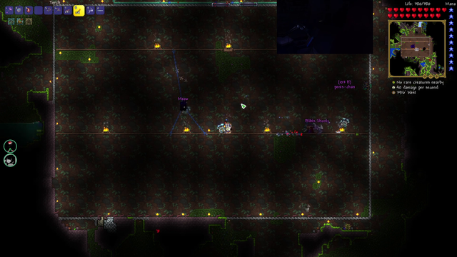 Bringing D&D to Terraria