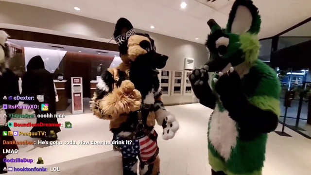 A furry face reveals DANSGAME
