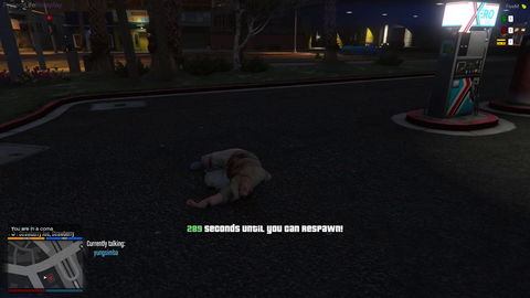 Heated gaming moment in GTA RP