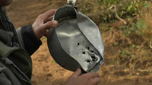 what predator could do this to a metal pot?