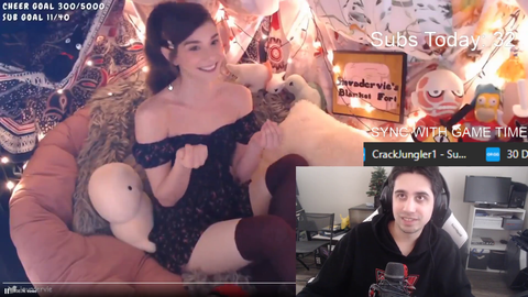 IWDominator, The Translator decodes InvaderVie's hot take on subs/donations
