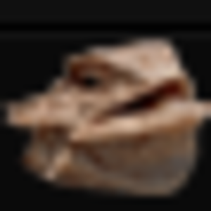 Blex__